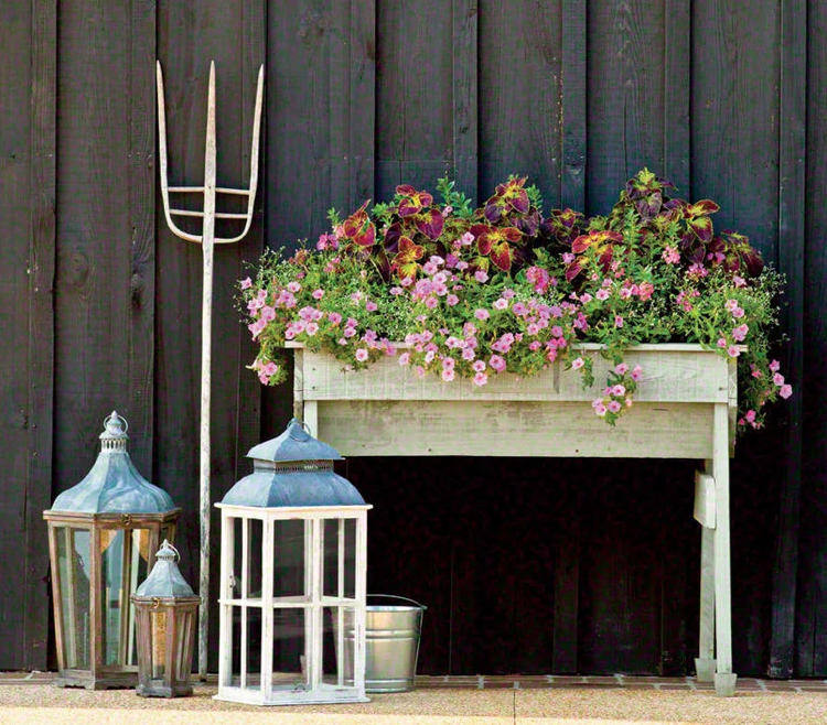 Vyvýšený záhon drevený kvetinový box farebná žihľava petúnie mliečnik pelargónie leto