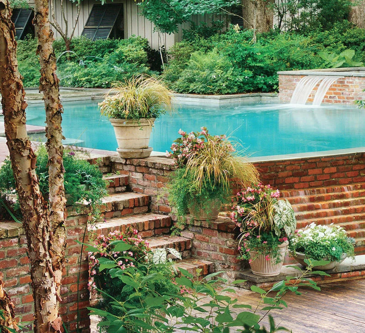 Vedrá vysádzajú letné okrasné trávy Semperflorens Begonia Caladia