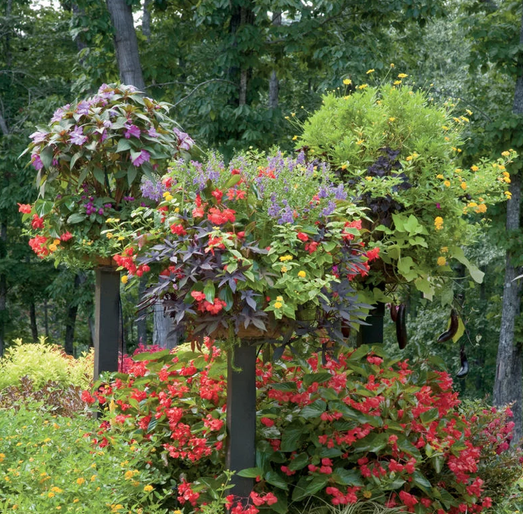 Oceľový sadzač letných lesov