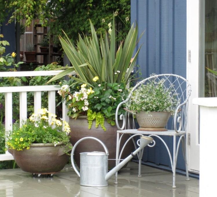 Veľký kvetináč-závod-Novozélanďan-Ľan-Phormium-Pennywort