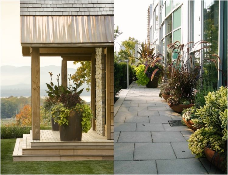 črepník-veľká-rastlina-kombinácia-phormium-sladké zemiaky-vinič-canna-ľalie