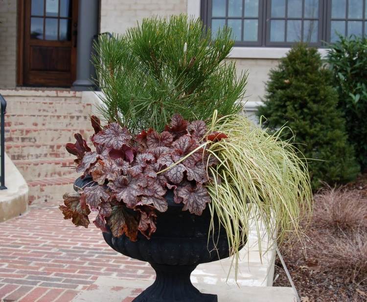 Veľké sadzače - rastliny - heuchera - okrasná tráva - borovica trpasličí