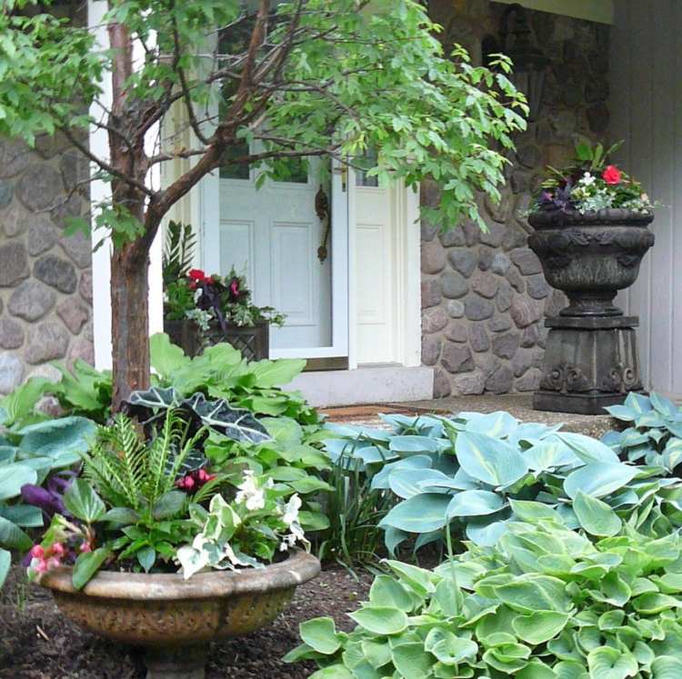 veľké výsadby-vane-výsadba-tieňov milujúcich rastlín