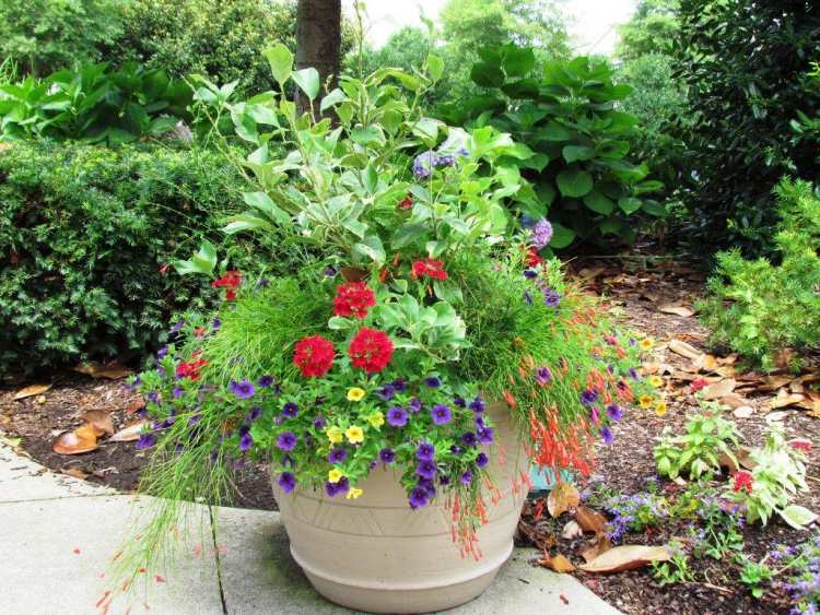 veľké-výsadbové-kade-výsadby-rastliny-rovnaké-podmienky-kombinovať