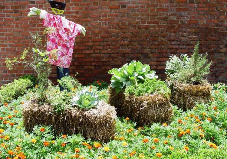 záhradnícke-balíky slamy-bylinky-mobilný-vyvýšený záhon