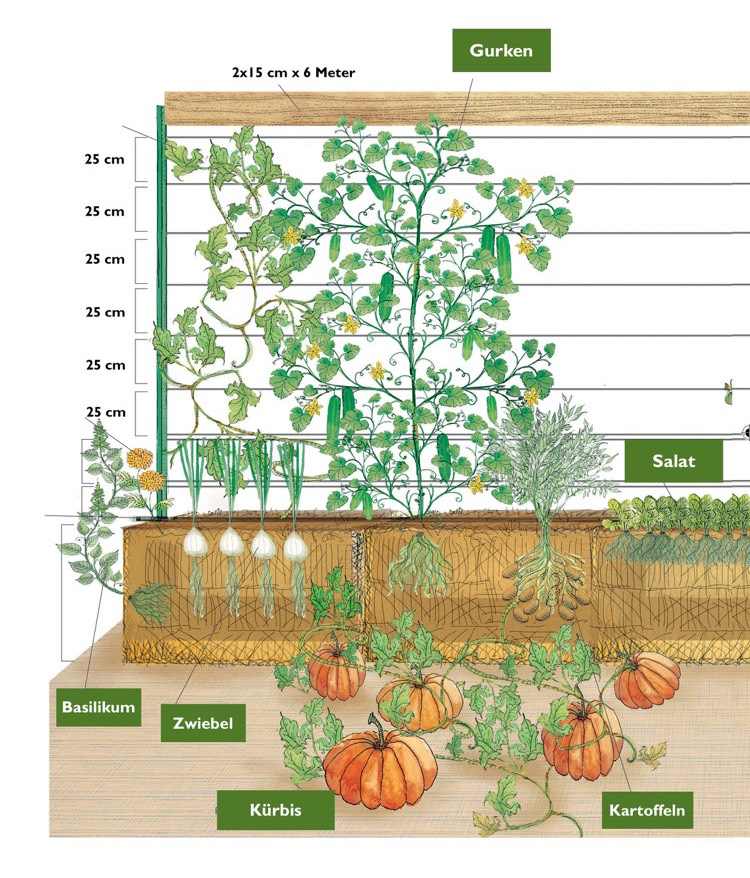 Záhradnícke balíky slamy-príklad-rastliny-zelenina