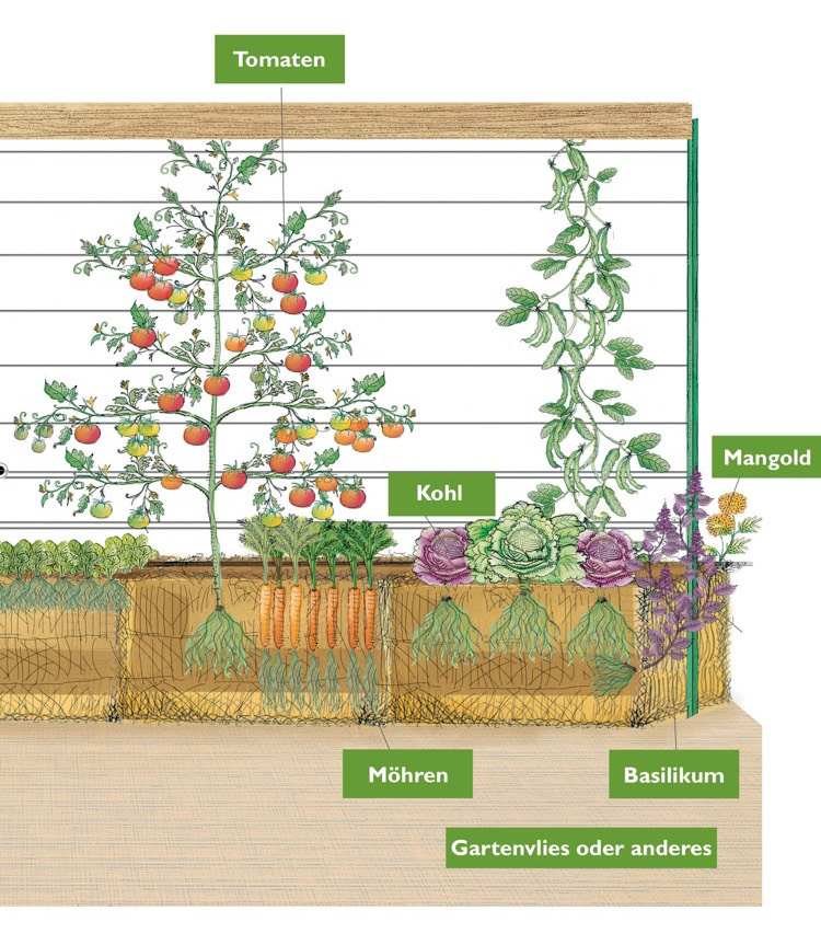 záhradnícke-balíky slamy-ukážkové-rastliny