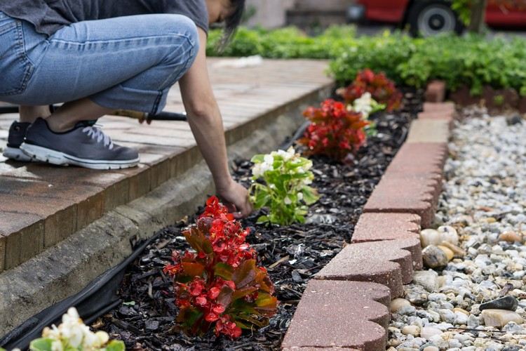 Vďaka záhradníctvu ste zdraví a fit. Konzumácia kalórií