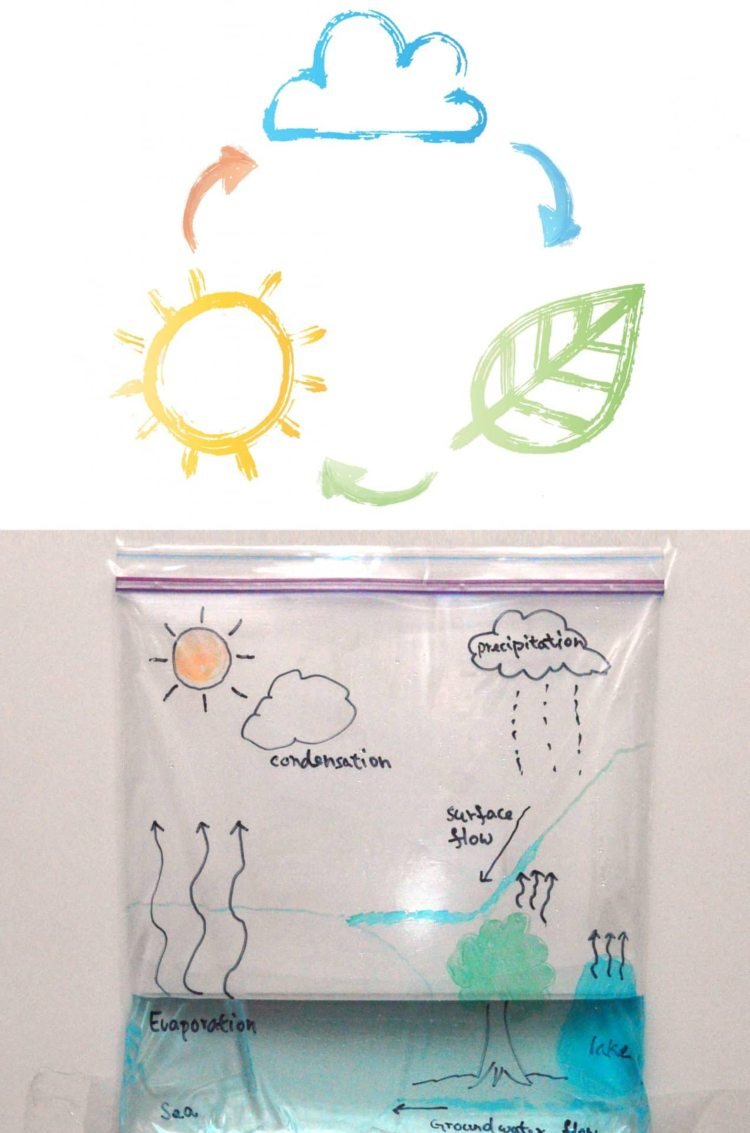 vysvetlite kolobeh vody záhradníctvu s deťmi