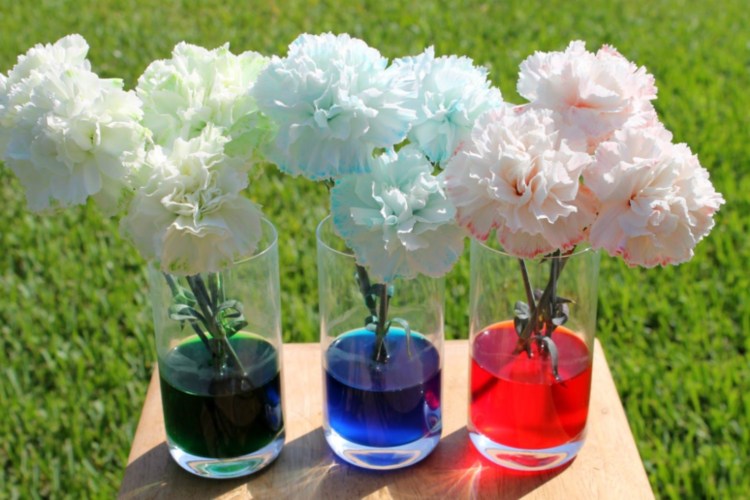 záhradníctvo deti vodné transporty experimenty s kvetmi