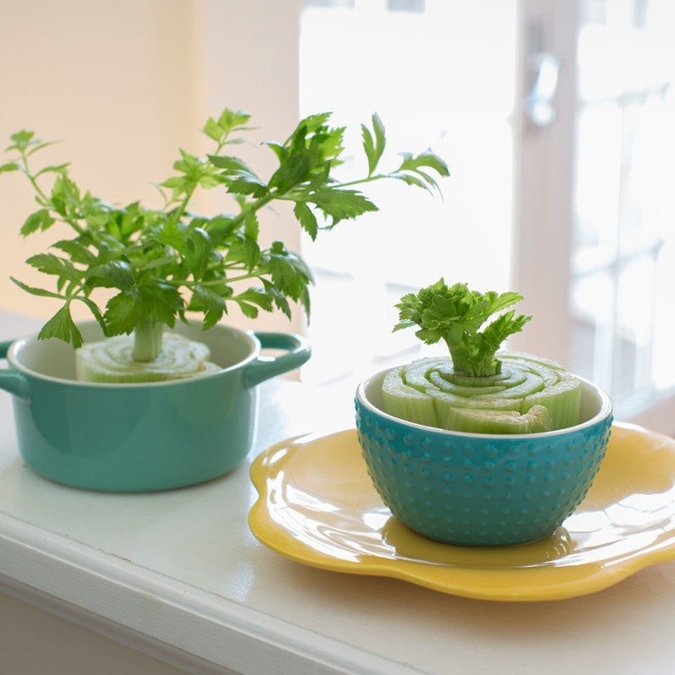 záhradníctvo deti zeleninová záhrada experiment pólová séria