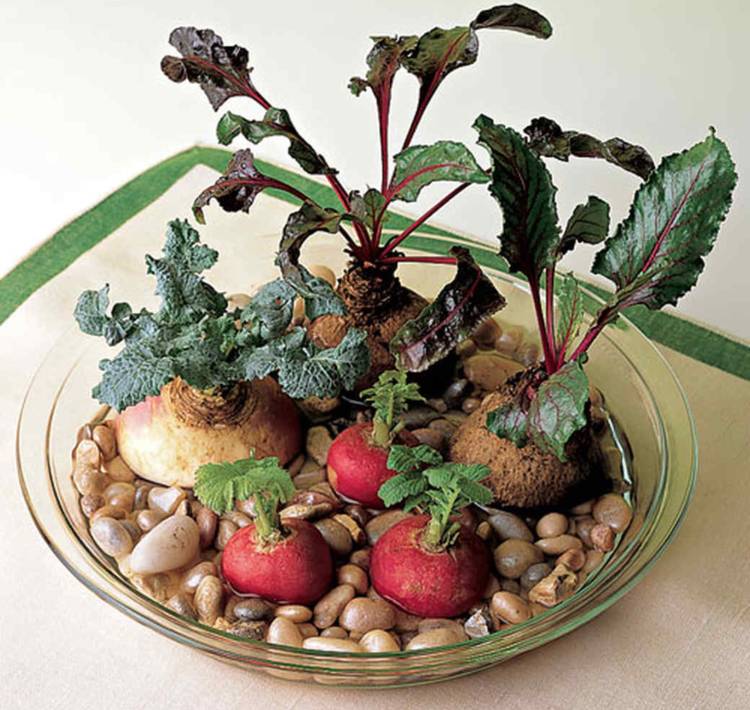 záhradnícke deti pozorujú rast rastlín