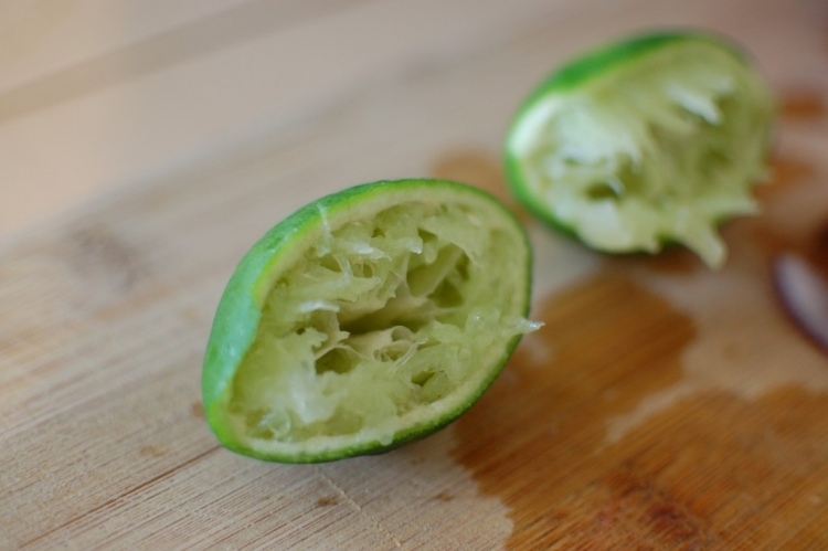 Guacamole-avokádo-dip-začiatočník-štartér-3