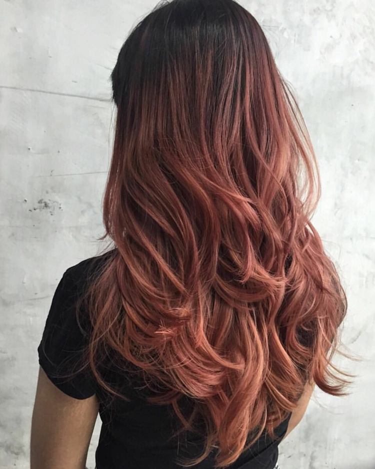 Rose Brown Ombre Pokyny pre farbenie vlasov Tipy pre dlhé vlasy