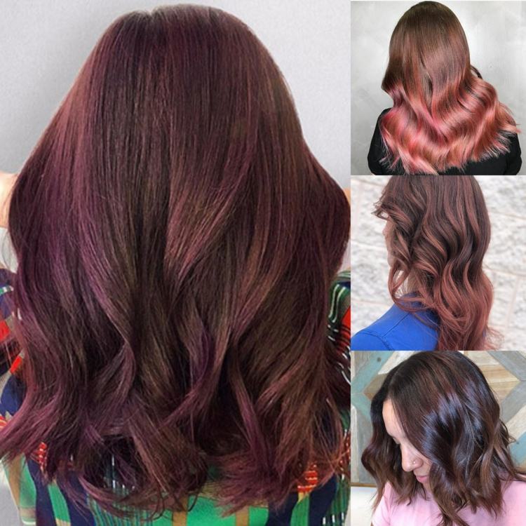 Ružové hnedé odtiene vlasov zvýrazňujú účesy brunetiek