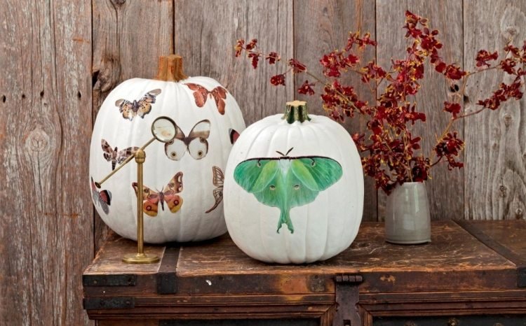Halloweenská dekorácia drotár-tekvica-biela-veľké-motýle-zlepené-krásne