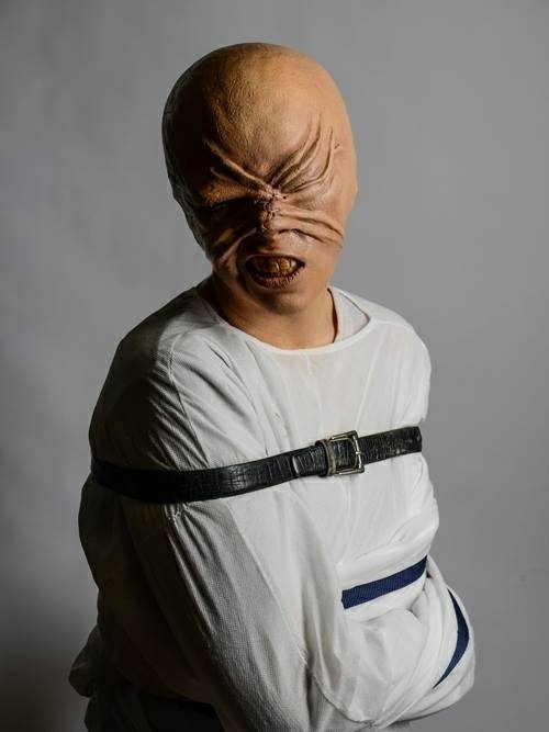 strašidelné kostýmy na halloween Nápady kostýmy bláznivej zvieracej kazajky