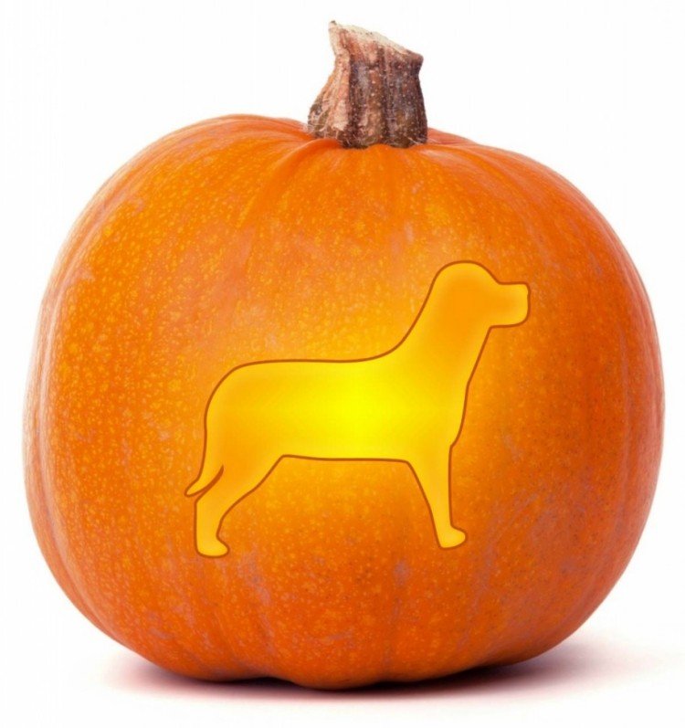 vystrihnite žiarivé siluety s tvarmi cookies Halloweenská tekvicová rezba-šablóny-pes-vystrihnutý-tvar-sušienkový tvar