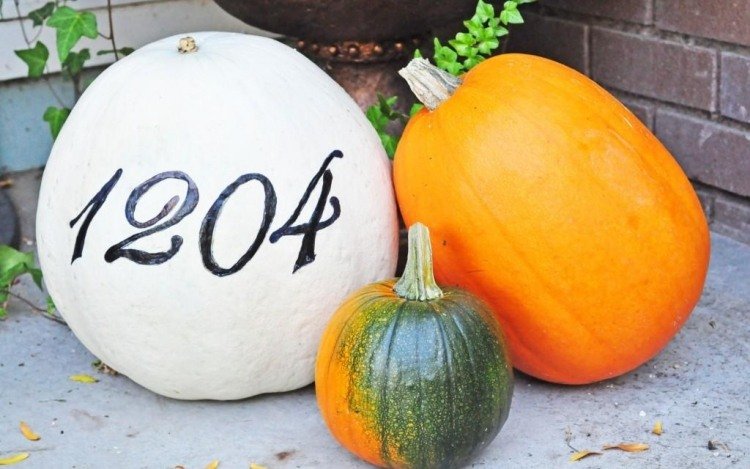 kreatívna jesenná vonkajšia dekorácia - číslo domu na tekvici halloween-obrubník-rezba-šablóna-dom-číslo-farbenie-kreatívny nápad