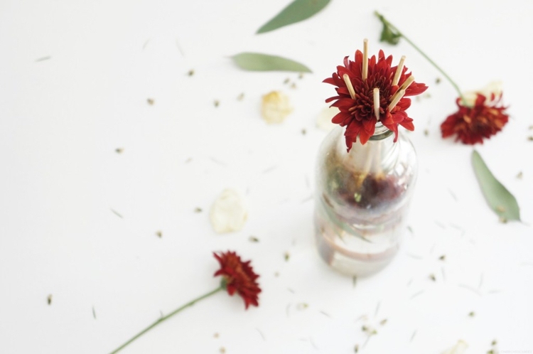 Vytvorte si podľa vlastných receptov vôňu tonika z čarodejnice z lieskových orieškov