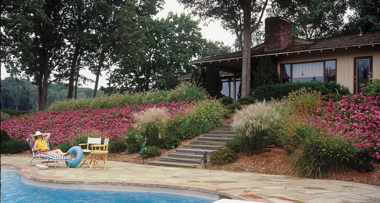 výsadba svahu-ruže-kôra-mulč-tráva-krok-lampa-čistenie trávy