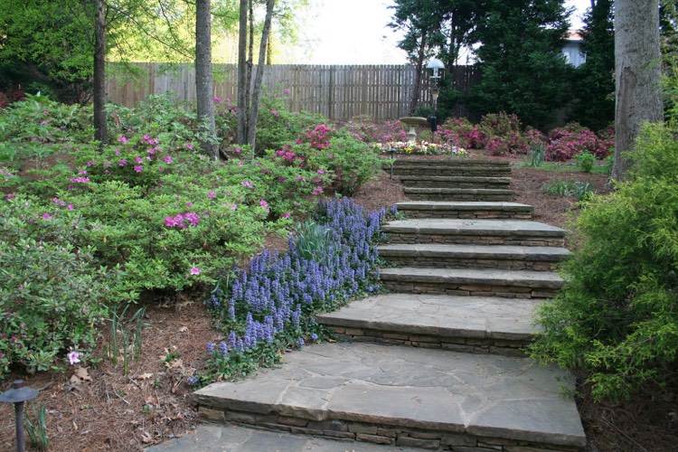 výsadba na svahu-ajuga-tienistý-mulčovací-ihličkový vrh