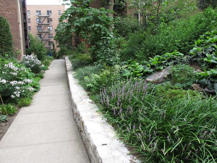 výsadba svahu-ľalia hrozno-liriope-zemný kryt-tieň-čiastočný tieň