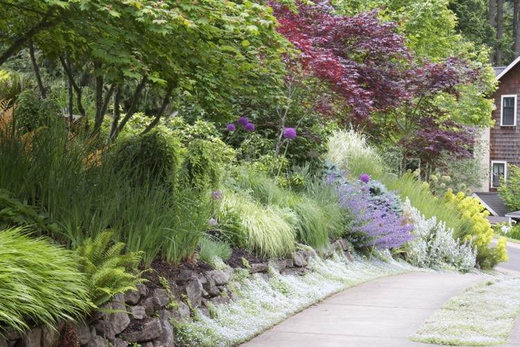 výsadba svahu-blízko-prírodné-okrasné kry