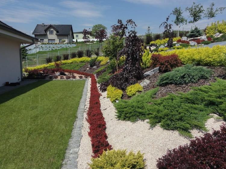 skalná záhrada na úbočí moderná