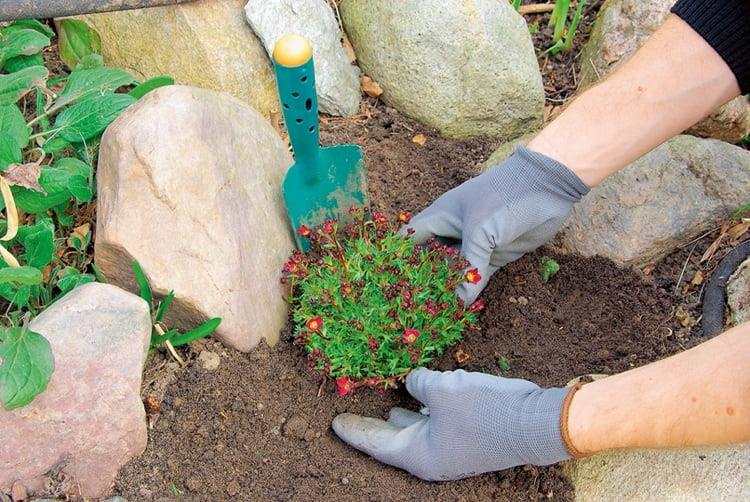 Vytvorte skalku na svahu podľa pokynov