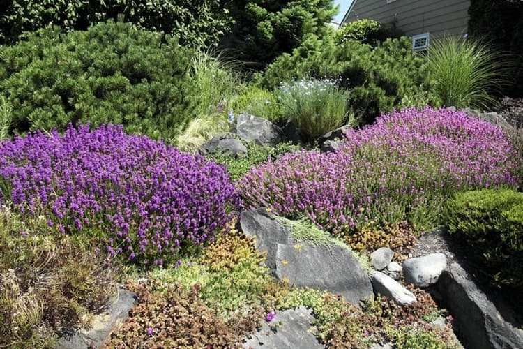 Na svahu vytvorte skalku