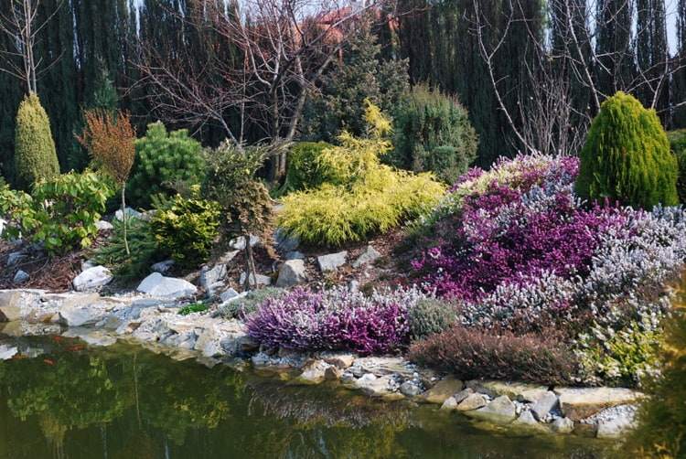 vresová záhrada príklad so sprievodnými rastlinami