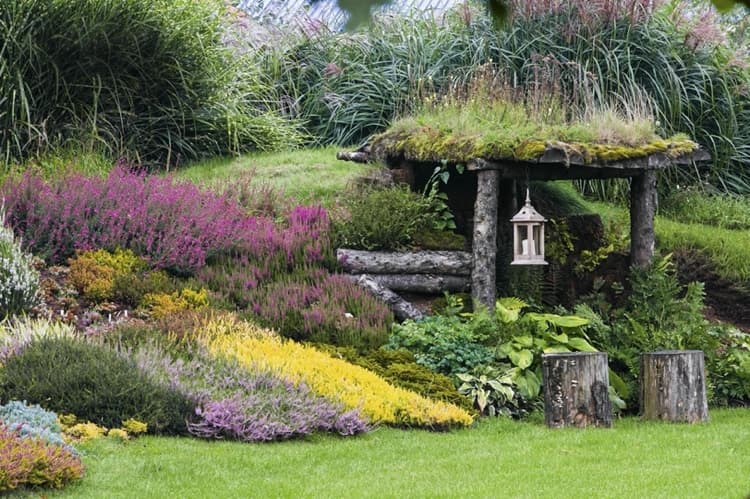 zoznam záhradných rastlín vresu