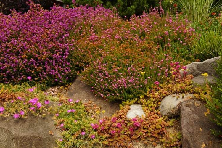 Návrh záhrady na slnečnom svahu