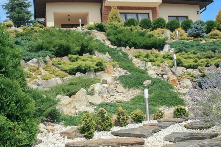 skalka na strmom svahu výsadba