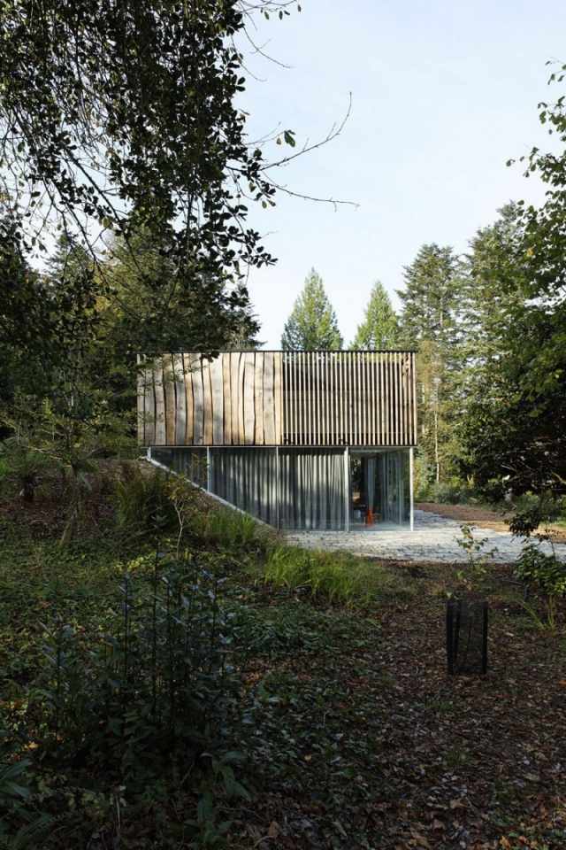 zelená prirodzenosť čerstvý vzduch chytajúci opaľovanie relaxácia Architektúra domu les zelená prirodzenosť čerstvý vzduch