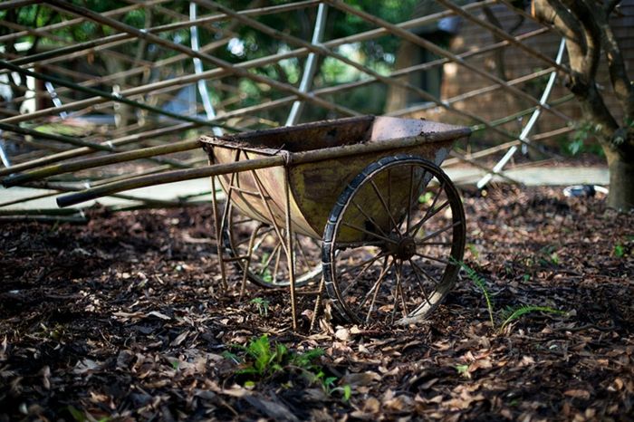 domáca architektúra kupolový fúrik záhradný dizajn