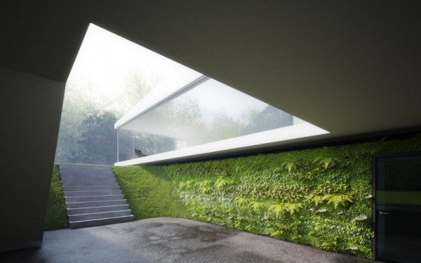 sklenený dom ozdobený stenou rastliny hornung a jacobi