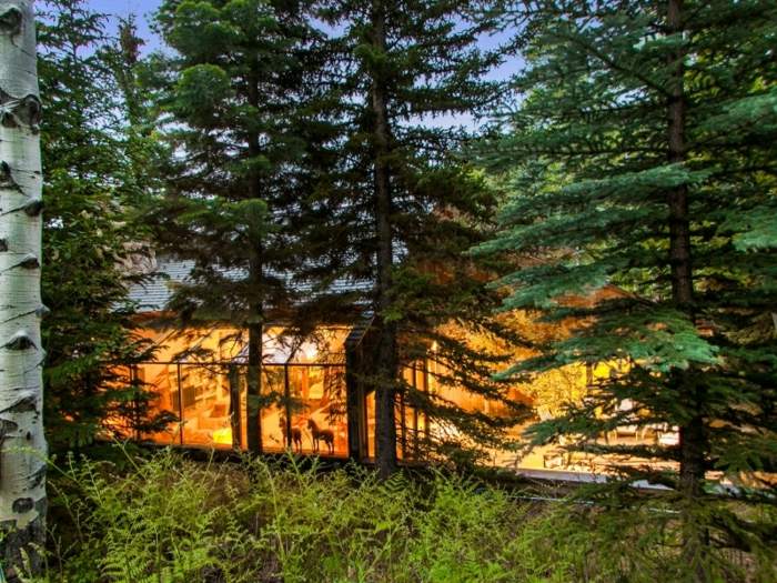 Pohľad z lesa do domu so skvelým dizajnom návrh domu v lesnom okne smreková borovica