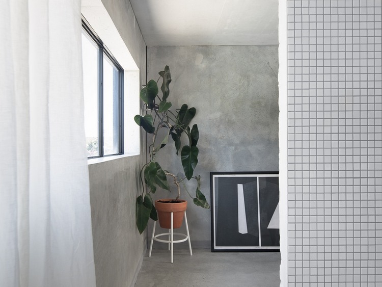 gumový strom v rohu vedľa rámu obrazu a obkladanej steny