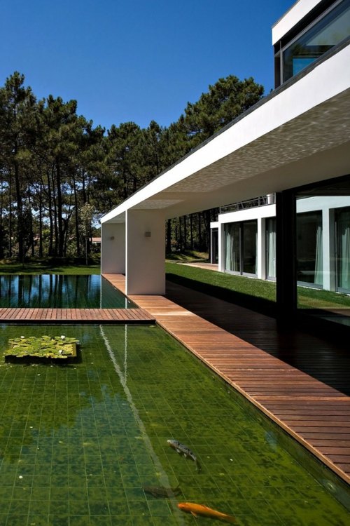 veľké záhradné jazierko tvar-ryby navrhnite veľké záhradné jazierko