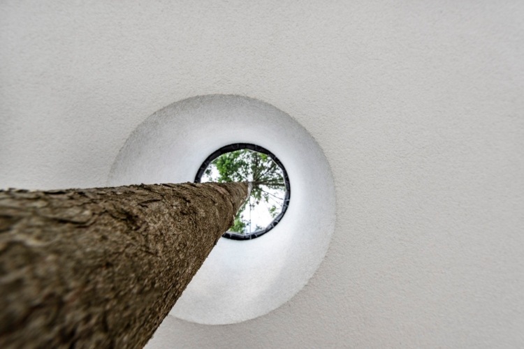 dom so sklenenou terasou pokrytou prednou terasou