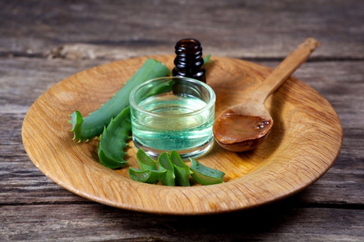 Proti vypadávaniu vlasov použite aloe vera vo forme gélu z listu a votrite ho