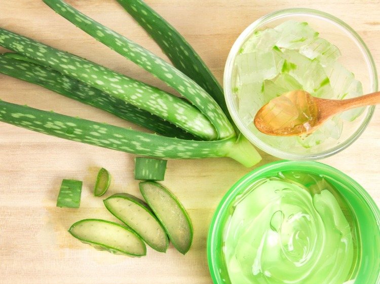 dužinu aloe vera použite ako gél a domáci prostriedok na vypadávanie vlasov uchovávajte v chladničke