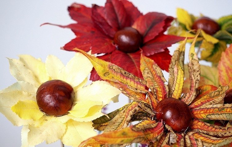 Na každý kvet použite správne listy