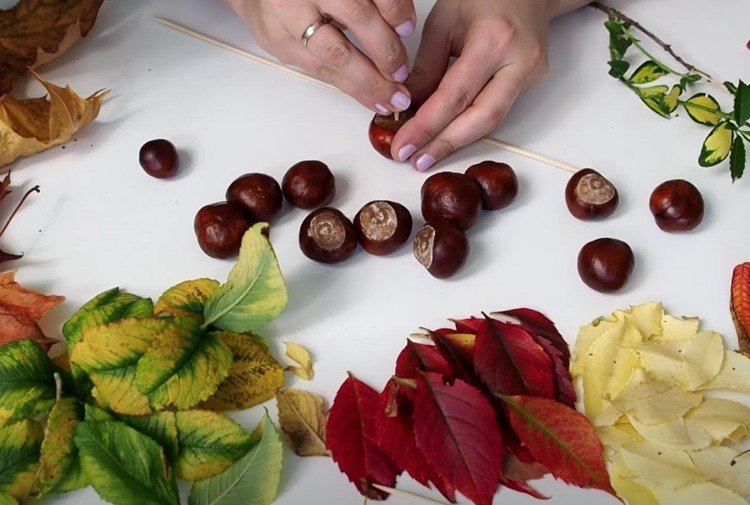 Vložte drevený špíz do gaštanu