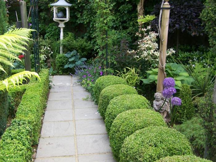 živý plot v záhrade zimostráz kruhové gule záhradná cesta