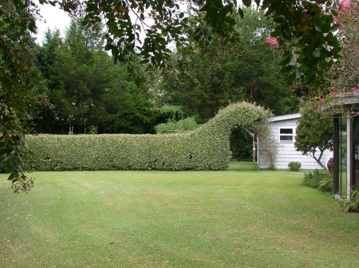 brána záhradný živý plot nápad na trávnik