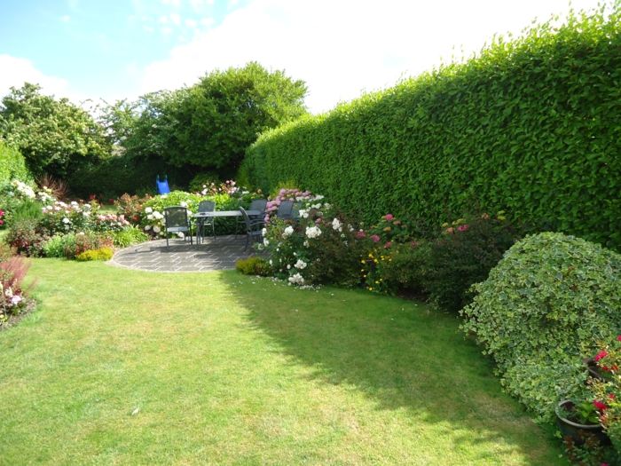 Ochrana súkromia záhrada zelené rastliny živé ploty kríky kvety trávnik