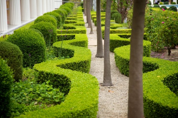 elegantný dizajn živé ploty gule stromy štrk